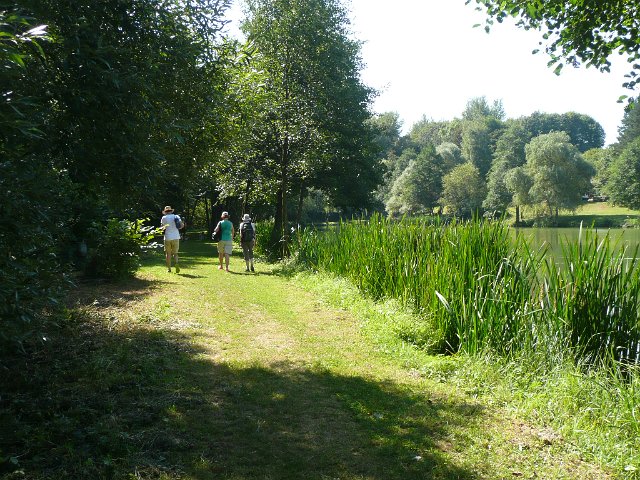 Sommer am Ihner Weiher